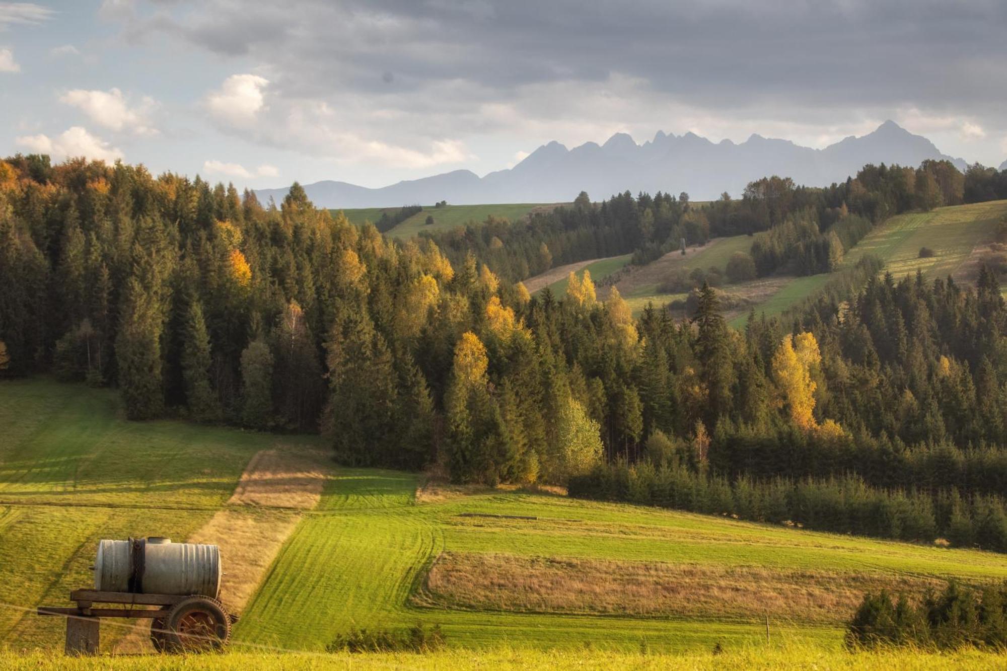 Forest Stodoly Krempachy Exterior photo