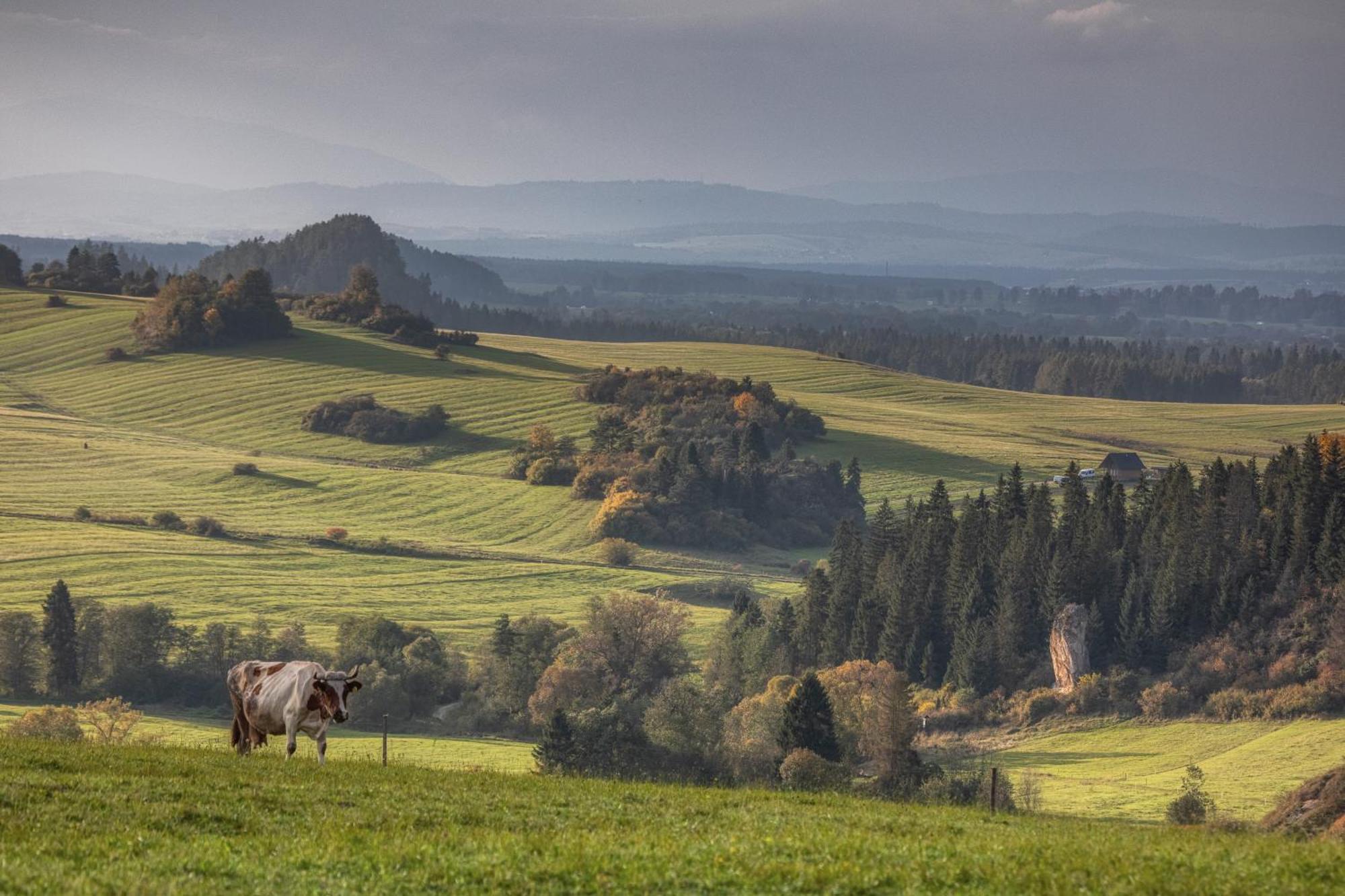 Forest Stodoly Krempachy Exterior photo